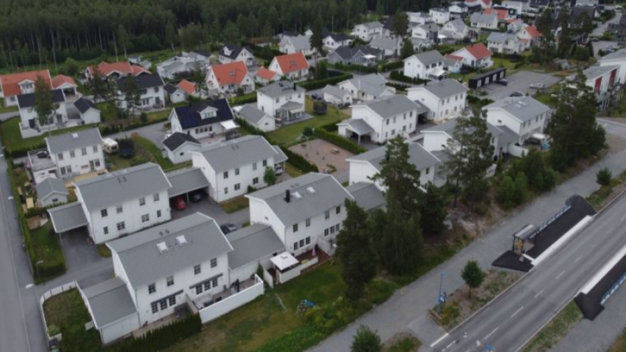 Rävgrytet
